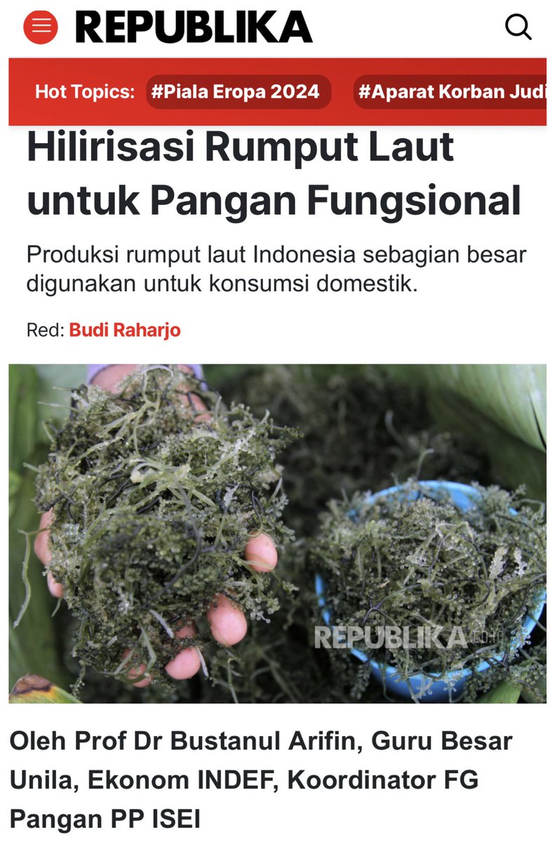Pada Senin 24 Juni 2024, saya juga menulis artikel “Hilirisasi Rumput Laut untuk Pangan Fungsional” di Harian Umum Republika. Saya dan komentar ditunggu.  analisis.republika.co.id/berita/sfjcco4…