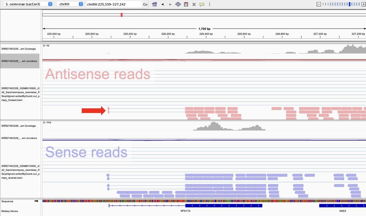 AJ Sethi tweet media