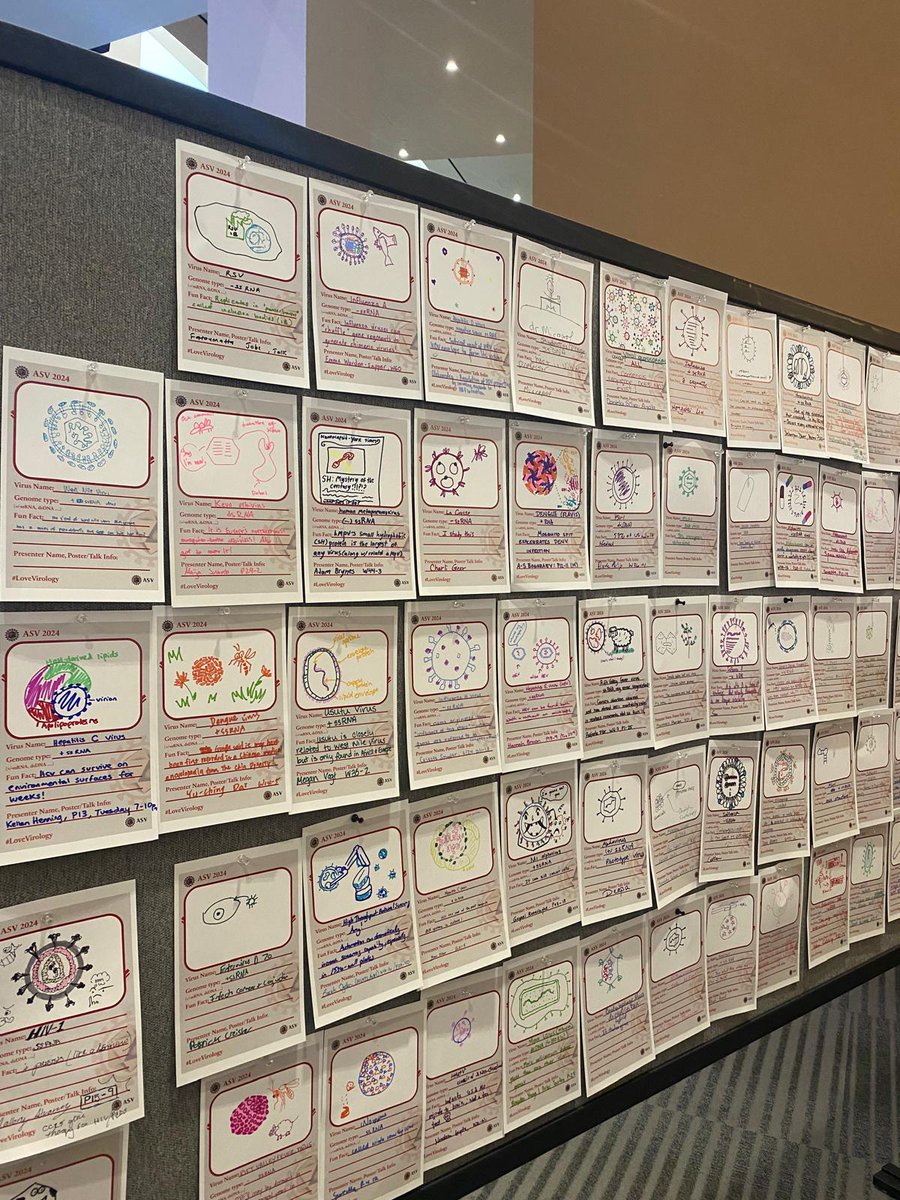 vGlycoproteins's tweet image. We're at #ASV2024 and getting our creative juices flowing, drawing our favourite viruses - can you spot the #RSV #inclusionbodies? 😉
Our post-doc Fatoumatta Jobe will be talking about this tomorrow!
@AmerSocVirol @Pirbright_Inst