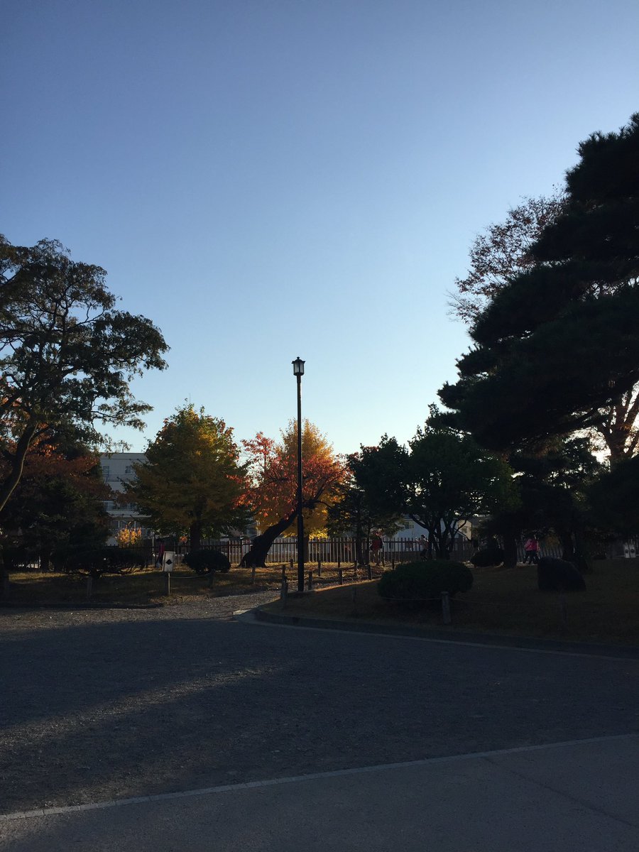 ☕︎︎ tweet media