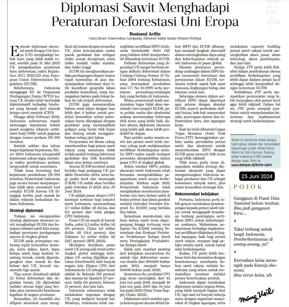 Jika berkenan membaca, saya pagi ini menulis artikel “Diplomasi Sawit Menghadapi Peraturan Deforestasi Uni Eropa” di Kompas, 25 Juni 2024. Saran dan komentar ditunggu. Terima kasih. kompas.id/baca/opini/202…