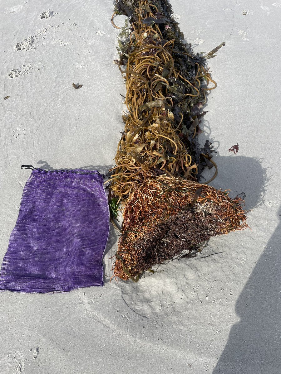 Bennett Bugbee tweet media