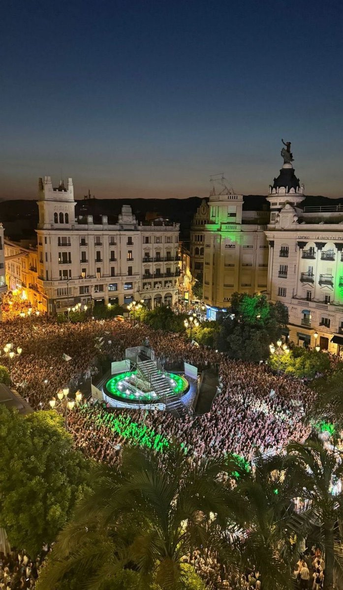 🤍💚🤍💚🤍💚