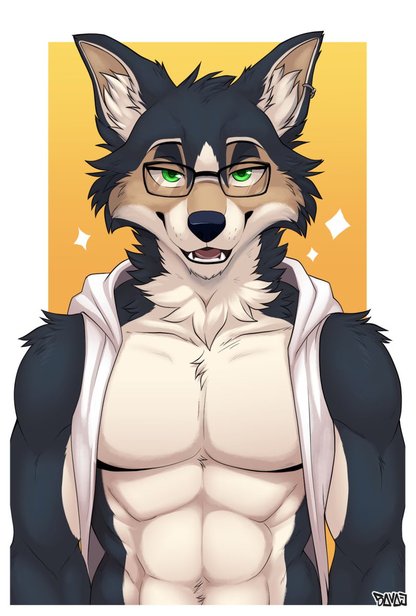 Border collies with big pecs just hit different 👀