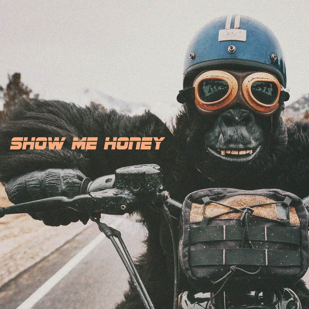 CHUCK TAYLORS tweet media