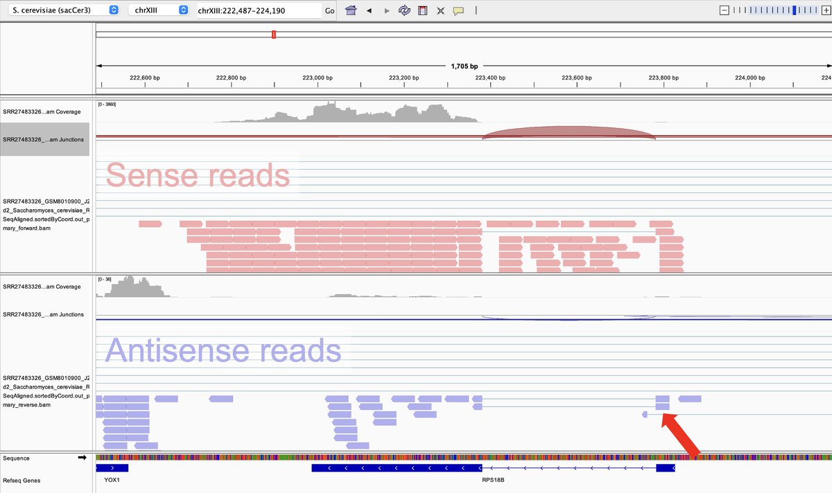 AJ Sethi tweet media