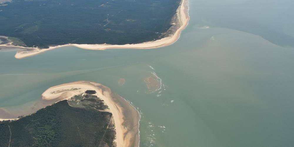 Sophie Carbonnel tweet media