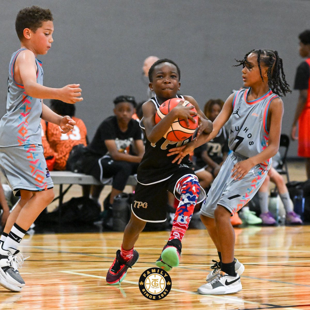 DrewEbanks's tweet photo. ON POINT ON LOCATION: 25th Annual @TG4LifeSports Tournament! Tons of talent in the building for the event!

#tg4lifesports #onpointbasketball #youthbasketball #canbball #aaubasketball 

📸: @fazvisions https://t.co/fBq94BS5SC