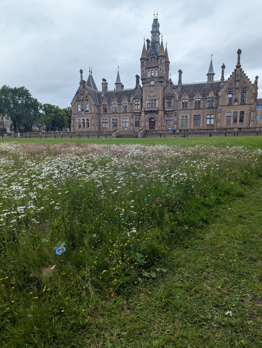 New bee water stops made by S3 Art classes to help bees hydrate on hot days planted in the meadow. Now we need the hot days! <a href="/morganacademy1/">Morgan Academy</a> <a href="/EdenProject/">Eden Project</a>