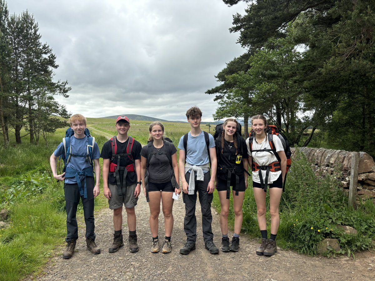 MGS D of E tweet media