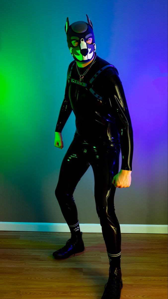 PupDusky's tweet photo. @latexneo 6’ 5” All dog, no brains. https://t.co/gJeKdfvmYX