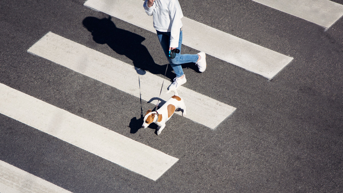 Did you know a daily ritual could help boost your productivity and mental health? Get insights based on decades-long research about how personal and corporate rituals could help you have a better day: hbr.org/2024/04/the-re…