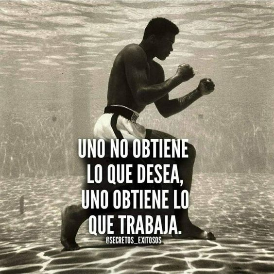 Zoila Alcantara (@alcantaraq11) on Twitter photo 