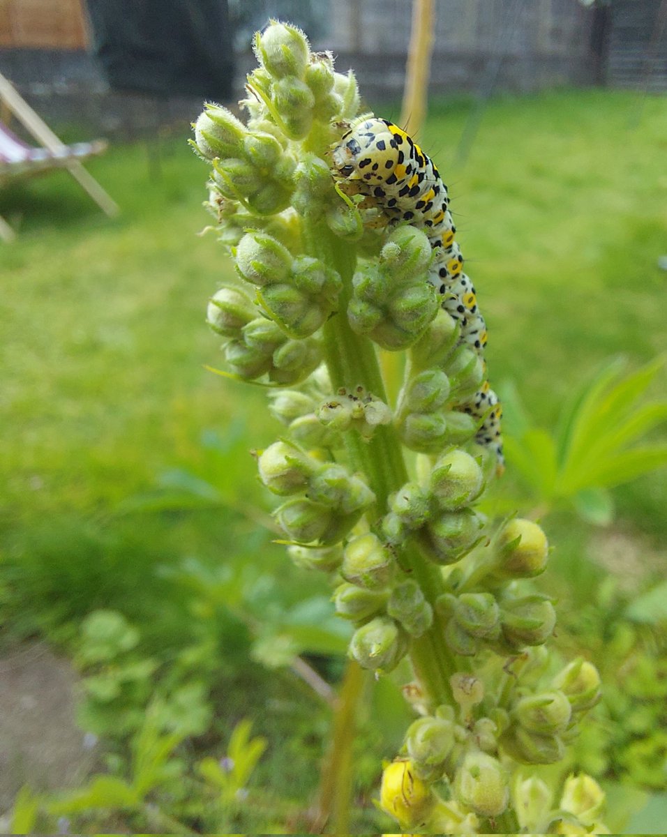 Kate Garrett tweet media