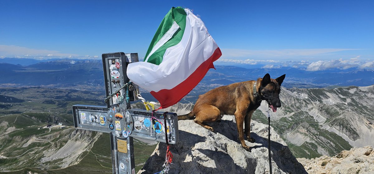 TexBayou's tweet photo. #hikingadventure 10.39km with 1km of ascent.  Corno Grande, #Italy

#embracechaos
#dogsoftwitter
#malinois https://t.co/ffcFfhzRI3