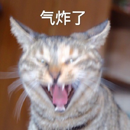 原谅不了一点  都TM给老娘死  
啊啊啊~~！
气的睡不着😤 https://t.co/abpVoLctxT
