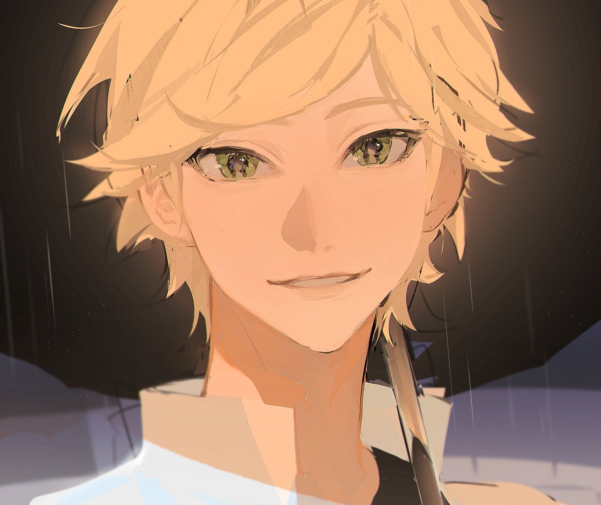 #MiraculousLadybug Adrien☂️