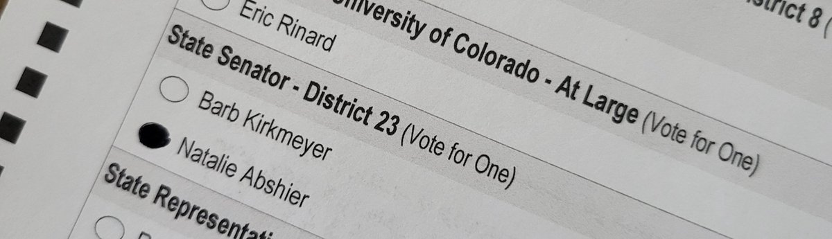 Natizzy21's tweet photo. Today you have a choice: The same old career politician or an actual fighter for conservative values. Me? I'm voting for the fighter.

Full disclosure: I'm voting for myself. 😀 https://t.co/Kmk2e9G3Rw