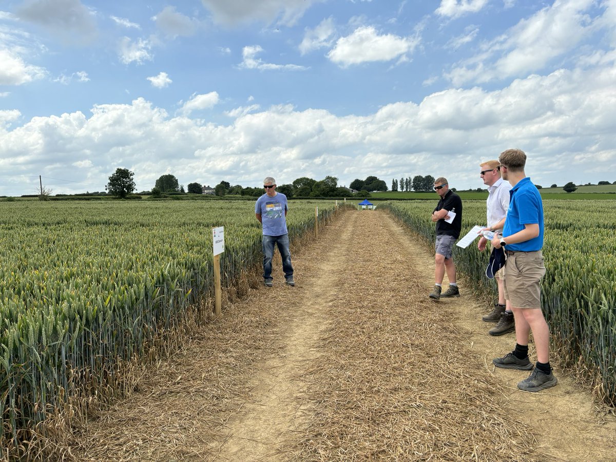 CatherineHar4's tweet image. Really useful day talking to farmers about priority cereal and oilseed pests, weeds, and diseases to guide our #IPM research @AHDB_Cereals 
DM me if you would like a say too!