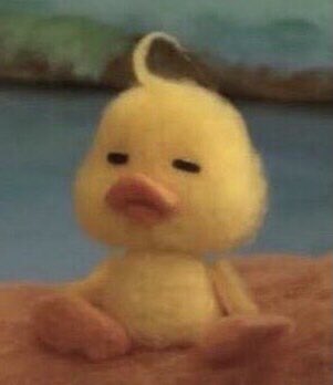 softoytaetae's tweet photo. it's him! the pouty duck https://t.co/rGPuzQgmk6