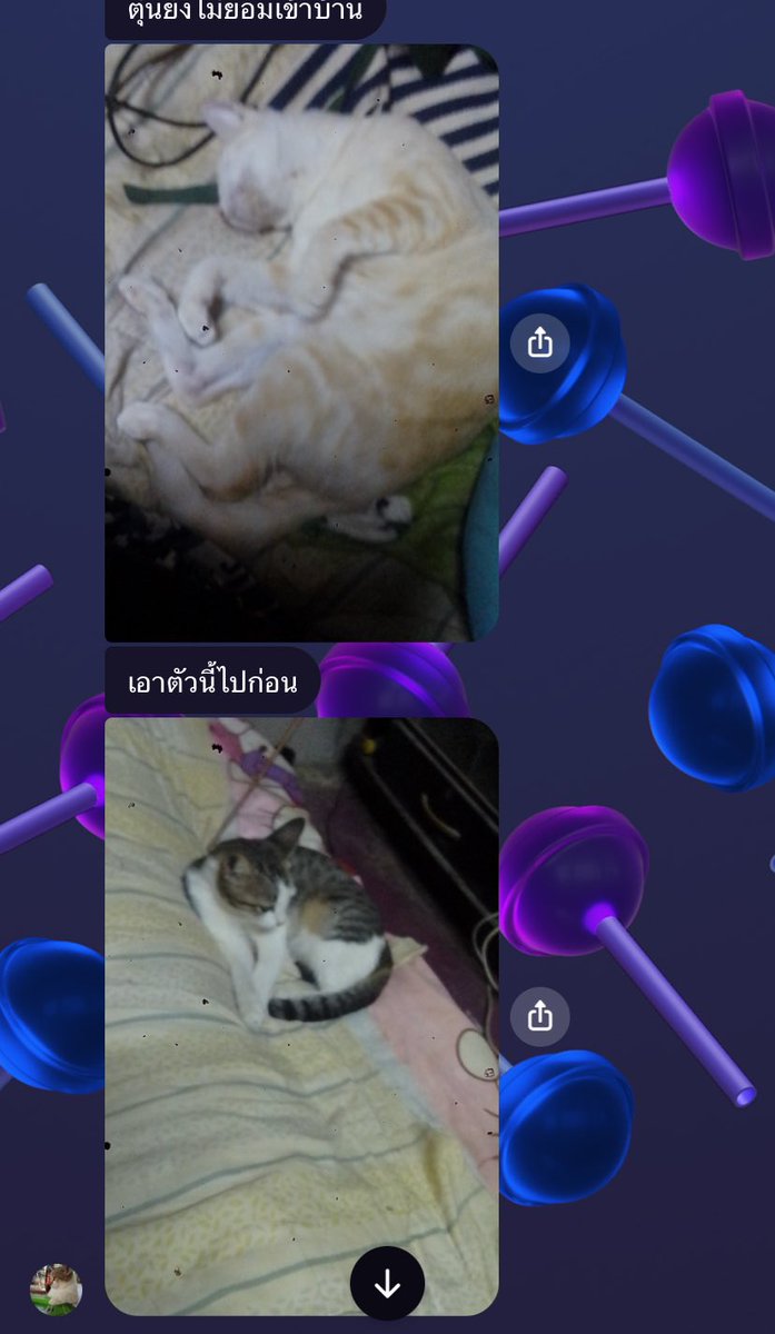 lyn ୨୧ (slow) tweet media