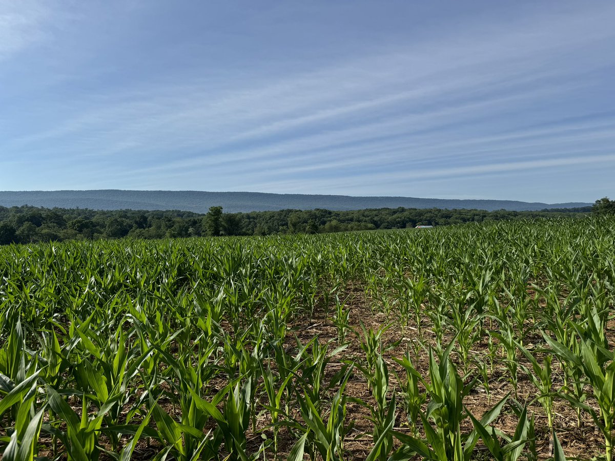 Shirin Ghatrehsamani, PhD (She/Her) (@ghsshirin) on Twitter photo Such a great day to be outside, fly a drone and collect excellent data. Thanks to the weather for cooperation π
#UAVs #DroneinAg #Precisionag #sitespecific #management #digitalag #technology #smartag #smartfarming #WeAre #PSU #LiDAR #hyperspectral Such a great day to be outside, fly a drone and collect excellent data. Thanks to the weather for cooperation π
#UAVs #DroneinAg #Precisionag #sitespecific #management #digitalag #technology #smartag #smartfarming #WeAre #PSU #LiDAR #hyperspectral
