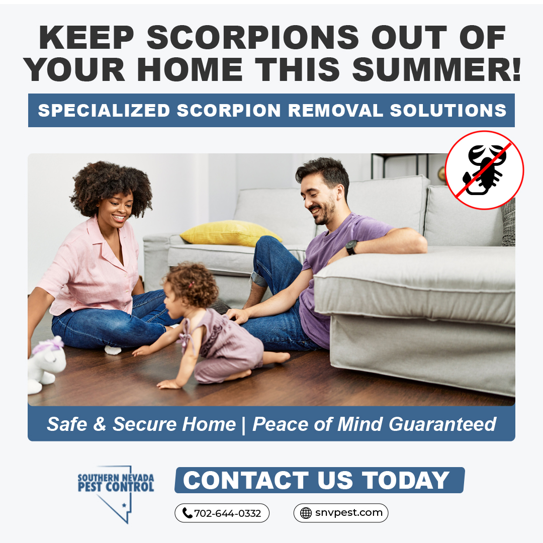 SNVPest's tweet image. Are scorpions invading your home? 🏡 The summer heat drives them indoors! 😱 #SouthernNevadaPestControl offers specialized #ScorpionControl services to keep your home safe and scorpion-free! 📞 702-644-0332 or visit 💻 snvpest.com! #PestControlExperts