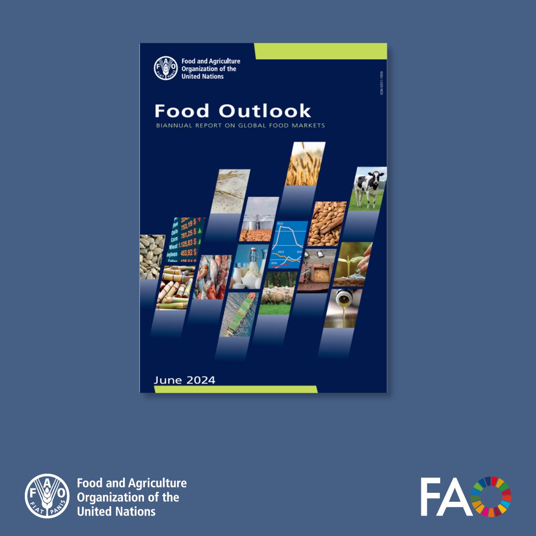 FAOKnowledge's tweet image. 📈🌾 @FAO&apos;s latest Food Outlook report forecasts increased production and higher stocks for several basic foodstuffs.

However, global food production remains vulnerable to weather, geopolitical tensions, and policies.

Read the full report ➡️ doi.org/10.4060/cd1158…