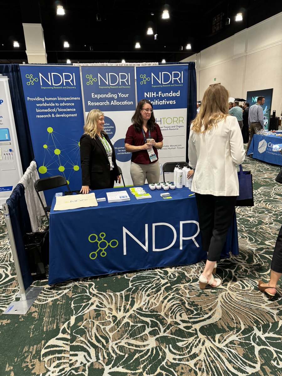 NDRI_Resource's tweet image. Come visit our booth at #AOPO! We&apos;re at Booth #411 and looking forward to answering all your questions about working with NDRI. #AOPO2024 #TissuesforResearch #NDRI