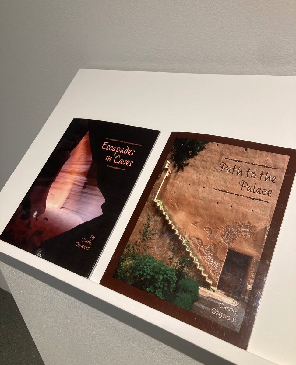 Less than one month left to see the Collective Nouns exhibition! Come check out the compelling work by MSU Denver staff and faculty. The work includes a multitude of media and themes.
⁠
For more information, visit the link in bio. ⁠