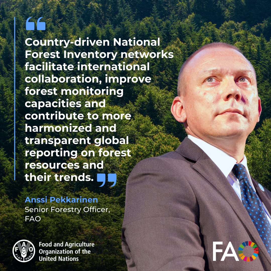 FAO Forestry (@faoforestry) on Twitter photo Country-driven National Forest Inventory networks facilitate international collaboration, improve forest monitoring capacities & contribute to harmonized & transparent global reporting, <a href="/FAO/">Food and Agriculture Organization</a>'s Anssi Pekkarinen tells #IUFRO2024 Forest w/out Borders event
<a href="/INIA_es/">INIA-CSIC</a> <a href="/UFAM_/">Ufam</a> @AnssiPek Country-driven National Forest Inventory networks facilitate international collaboration, improve forest monitoring capacities & contribute to harmonized & transparent global reporting, <a href="/FAO/">Food and Agriculture Organization</a>'s Anssi Pekkarinen tells #IUFRO2024 Forest w/out Borders event
<a href="/INIA_es/">INIA-CSIC</a> <a href="/UFAM_/">Ufam</a> @AnssiPek