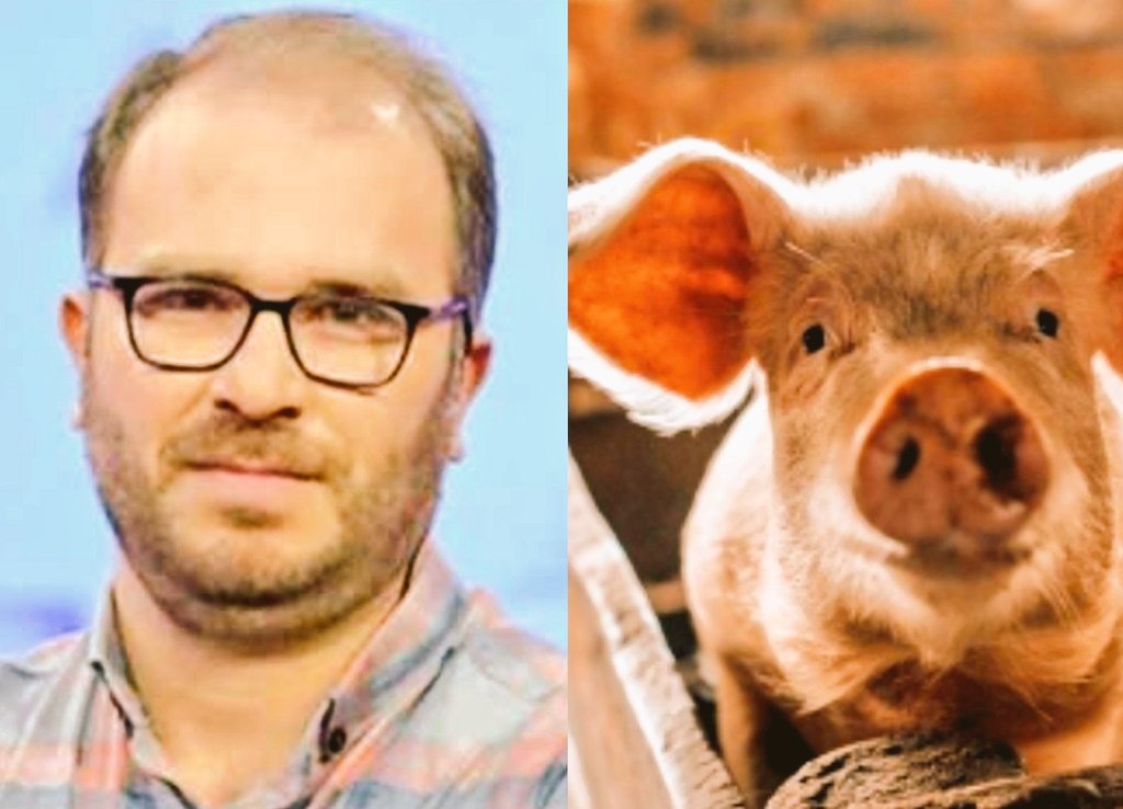 از دستاوردهای جُمهوری اسلامی این بود که با "آزمایش ژنِتیکی" خوکُ به "شَهبازی" تبدیل کرد.....