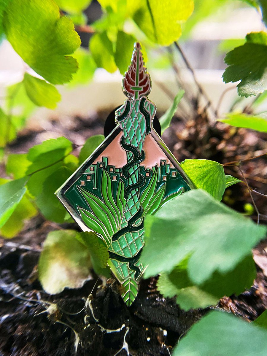 The Roaring Trainers tweet media