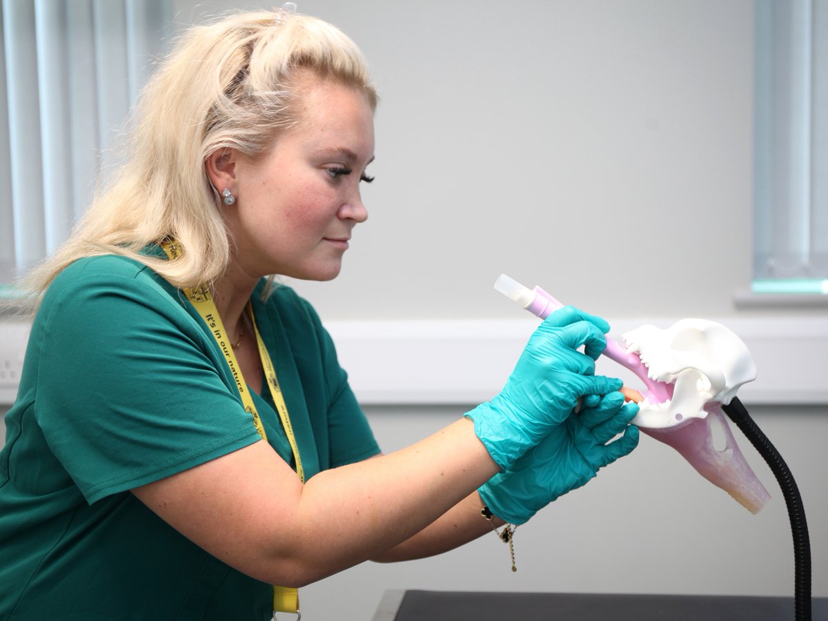 Our Veterinary Nursing team is proud to be leading the way in veterinary training after we became the first institution to develop a new professional exam focused on using v-gel®, Read the full story here: bit.ly/45zC9xH 
#veterinarynursing