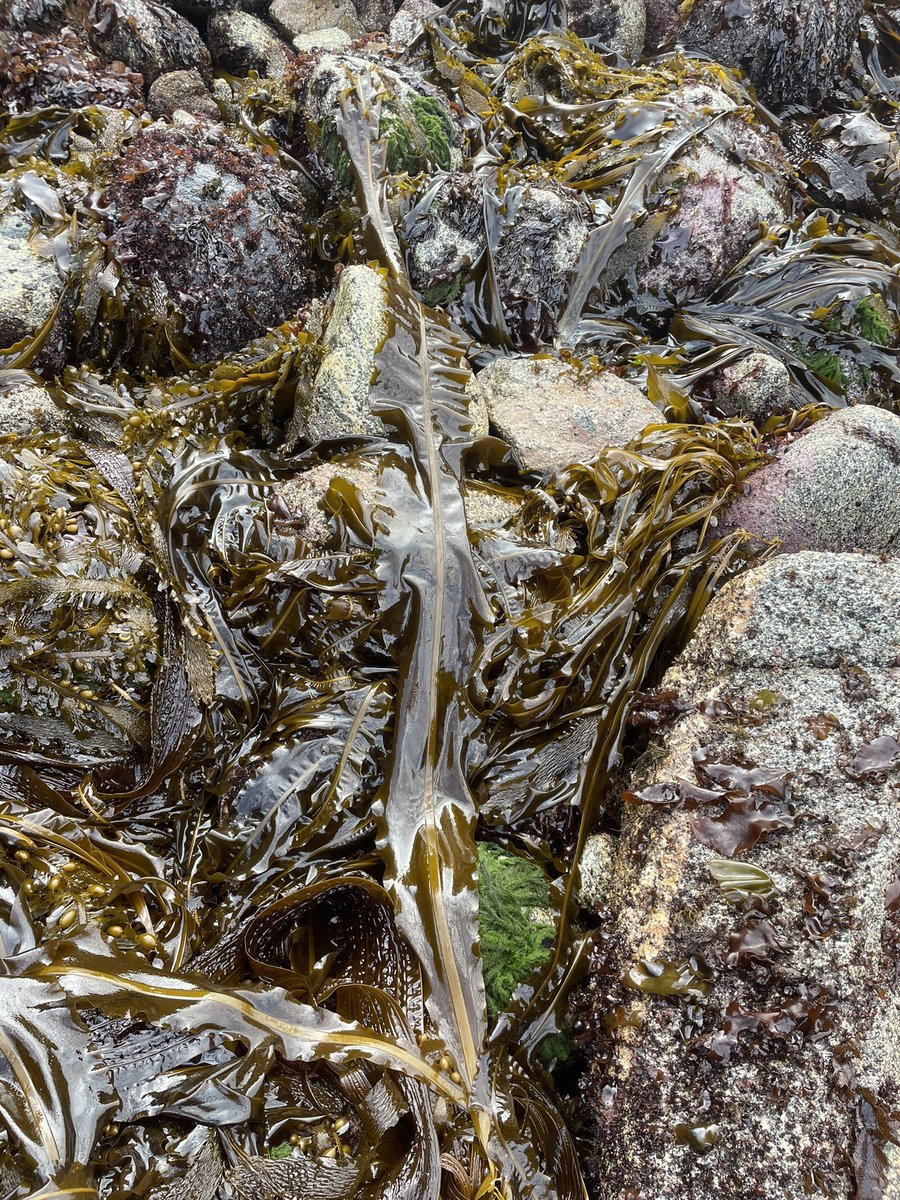 Bennett Bugbee tweet media