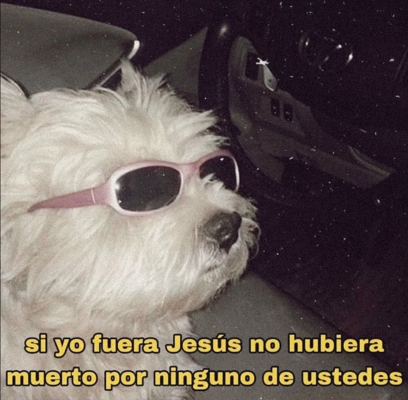 Racoon (@imsracoon) on Twitter photo 