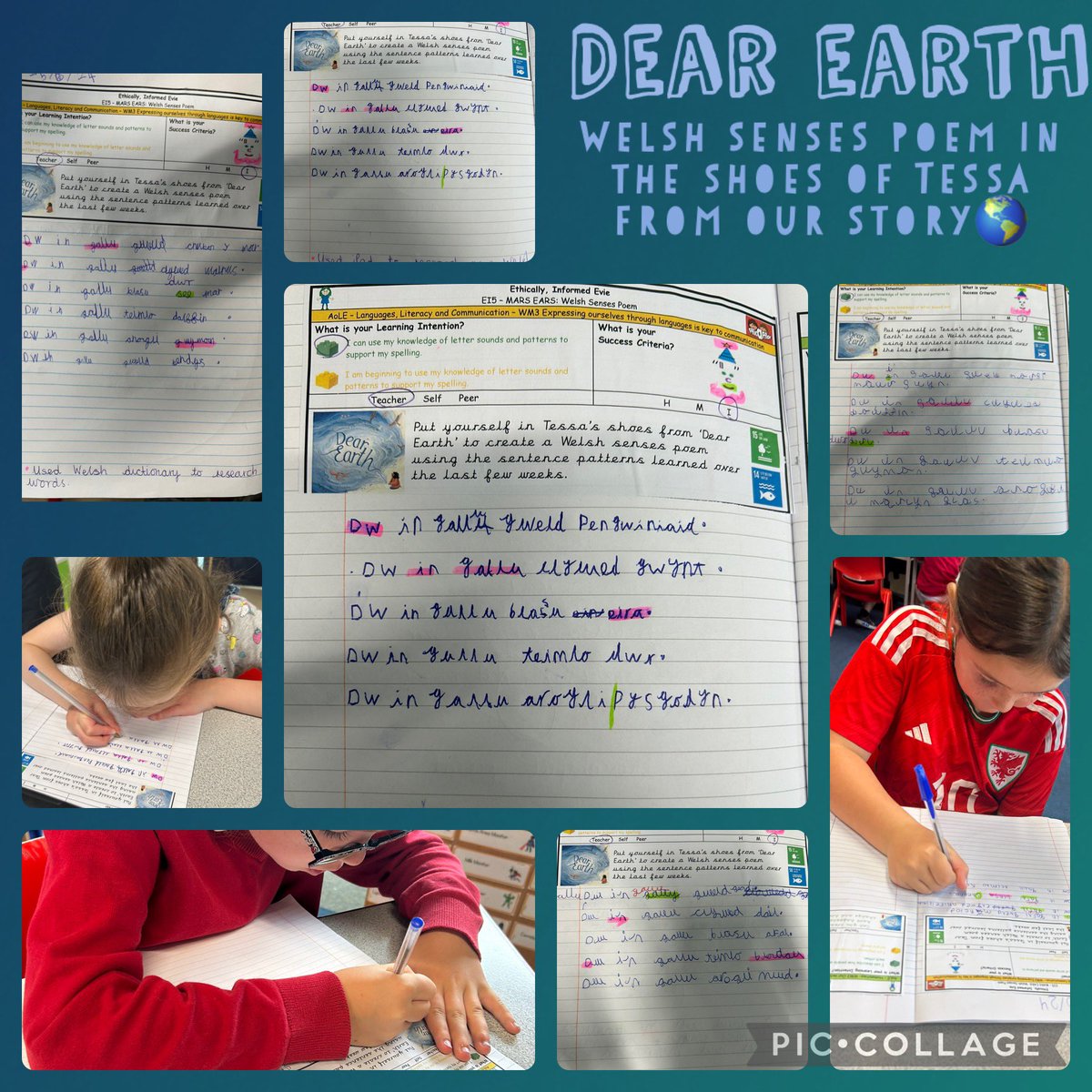 PDCS Year 2 tweet media