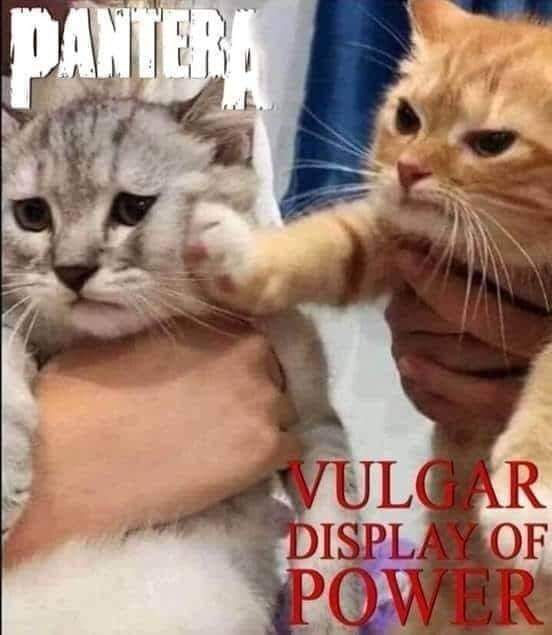 club_yonki's tweet image. Que buena mañana gracias a mi dupla favorita #PoderosaChapata