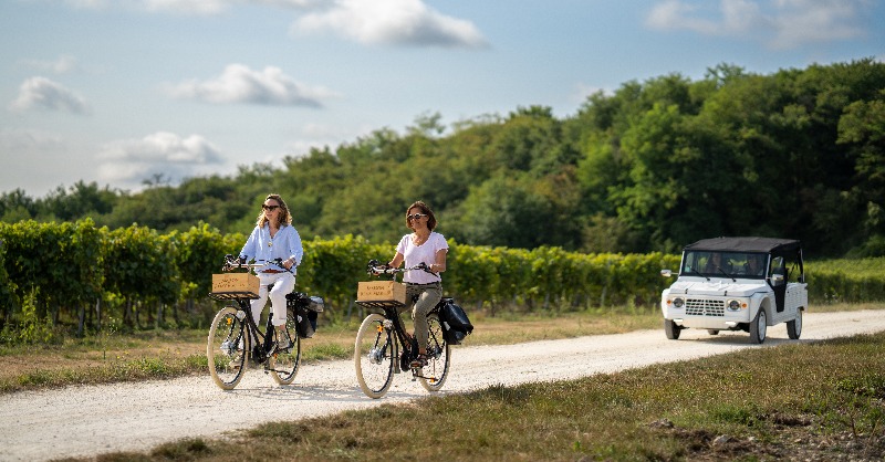 travelweekly's tweet photo. Partner content: The true essence of Explore Cognac lies in embracing the philosophy of slow tourism. What better way to immerse yourself in the region's rich heritage by exploring the very vineyards that have shaped its identity? #ExploreCognac #Cognac
