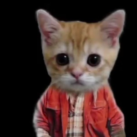 itzmekrishnan's tweet image. 🥊😼🔥

#NewProfilePic #JDVibes #GkSiva