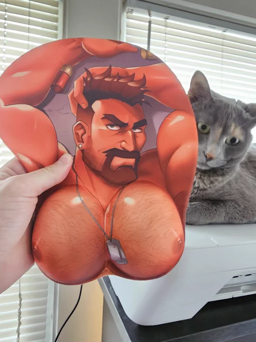 Hey ummm been cleaning up the place for moving and found a fresh unopened box of Gabe titties There's only a few so if u missed them last time this ur only chance probably idk dick wolf for scale 