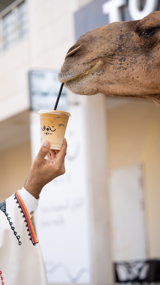 عشاق حليب الإبل 🐪🥛.

متوفر لدى #ليال_توق 

#محمد_العنيني #ينبع