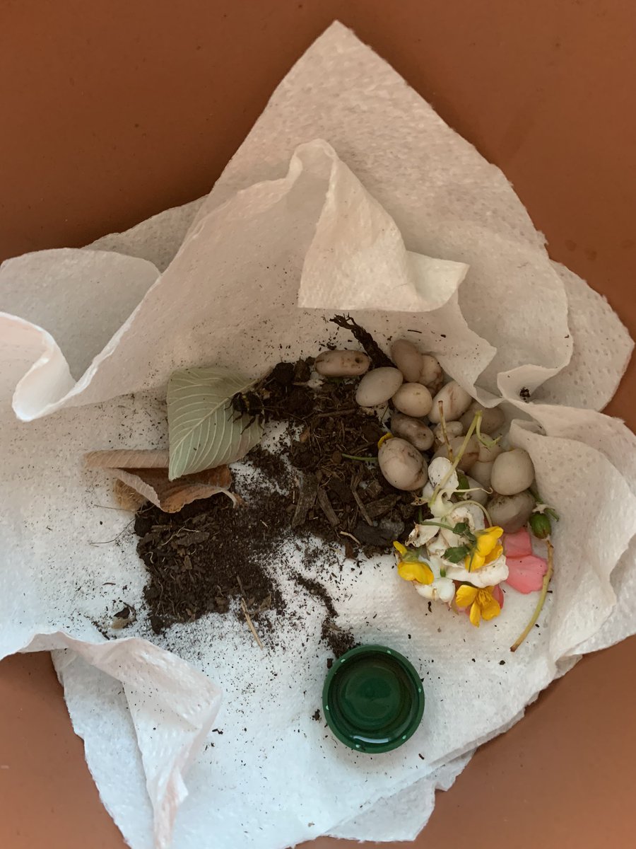 DeborahWaterson's tweet photo. @HMillSchool E and friends found a struggling bee so made a little house and some sugar water 🐝#bees #kindness #nature  I popped her in our hanging basket full of flowers 🌷 https://t.co/PxN0dpq7uD