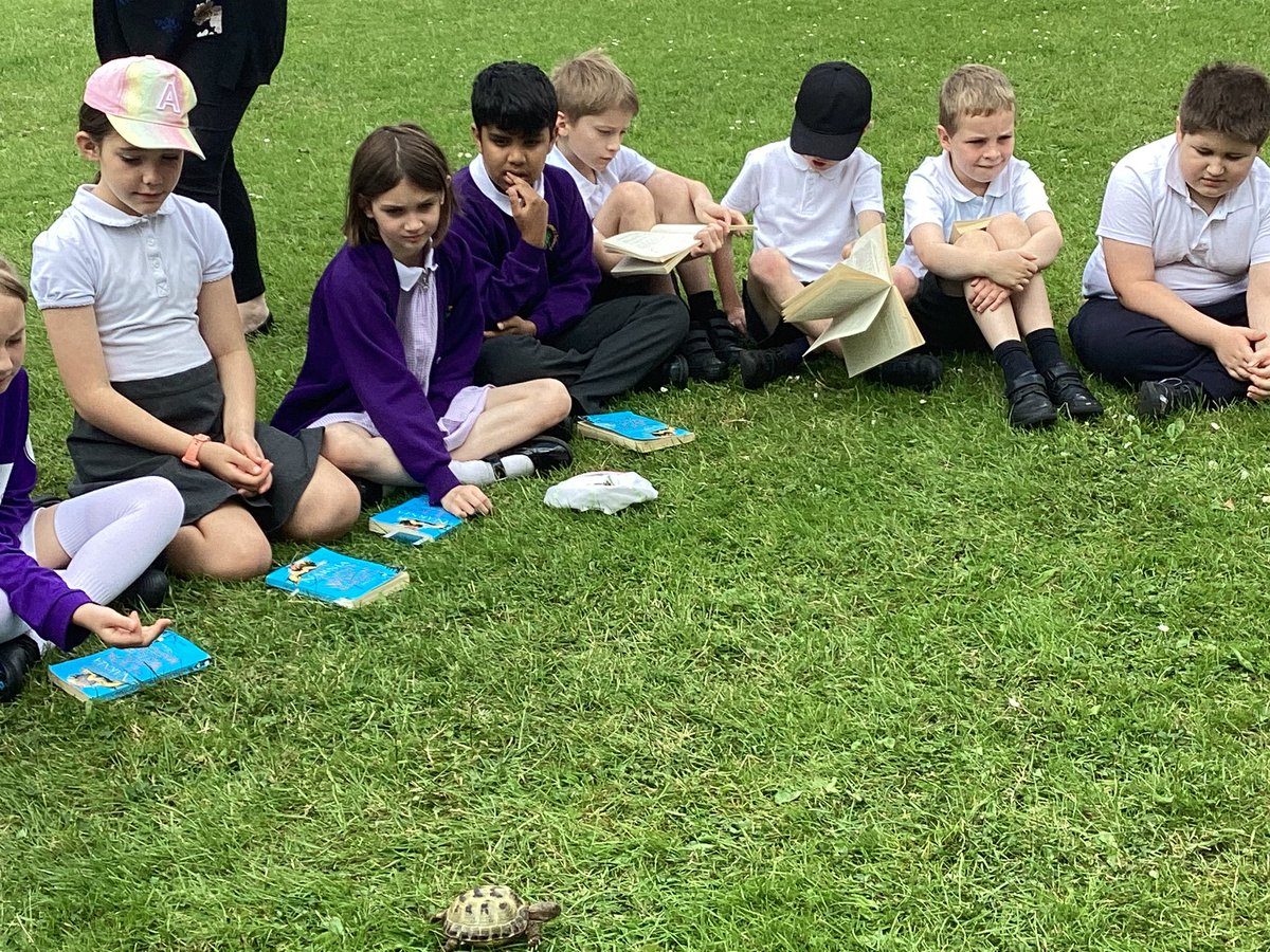 Mrs Myatt tweet media