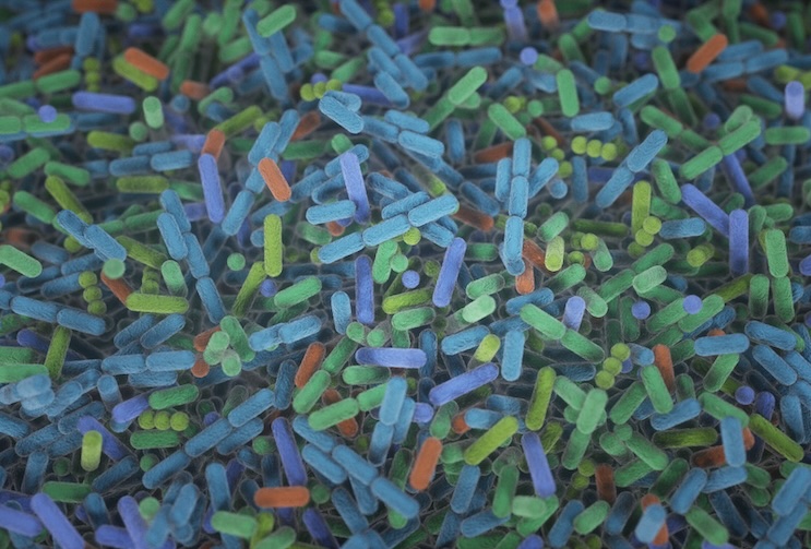 Broad Institute (@broadinstitute) on Twitter photo The largest and most diverse study yet of the gut microbiome and type 2 diabetes, led by the <a href="/chuttenh/">Curtis Huttenhower</a> and <a href="/danielwang621/">Daniel Wang</a> labs, reveals that the presence of specific viruses and bacterial variants in the microbiome corresponds with #T2D risk. broad.io/T2D-gut The largest and most diverse study yet of the gut microbiome and type 2 diabetes, led by the <a href="/chuttenh/">Curtis Huttenhower</a> and <a href="/danielwang621/">Daniel Wang</a> labs, reveals that the presence of specific viruses and bacterial variants in the microbiome corresponds with #T2D risk. broad.io/T2D-gut