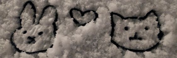anna ♡ tweet media