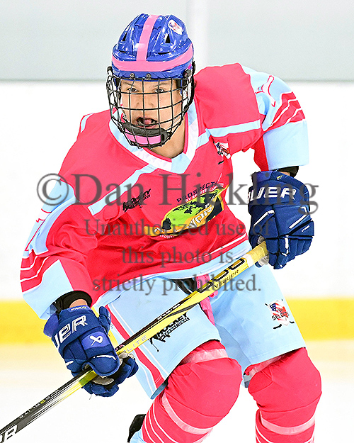 DanHickling's tweet photo. New pics of #TeamAllWorld '10s now up on their @eliteprospects pages ... Also coming to select @_Neutral_Zone pages ... from the @ProspectsbySI World Cup in Toronto ... Check 'em out! @mhick1953 https://t.co/IhYHsgwqV8