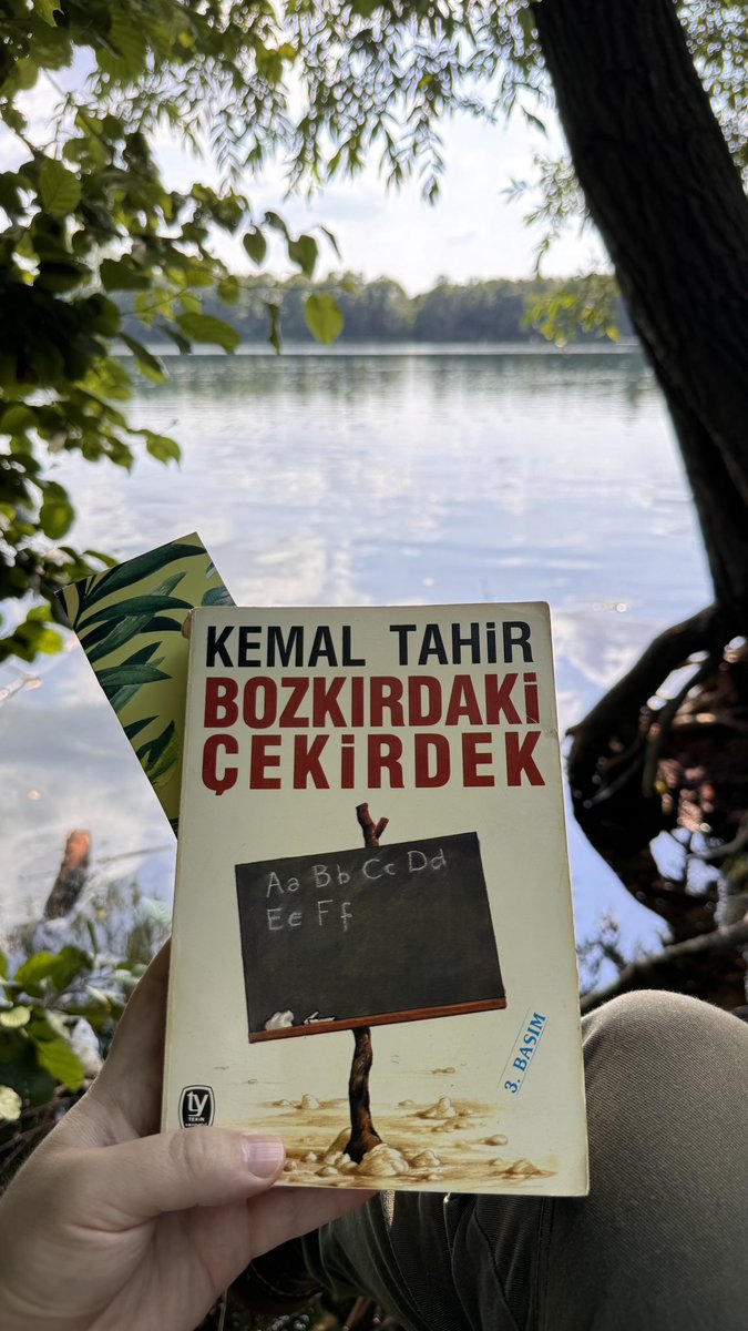 Kâni Toprak tweet media