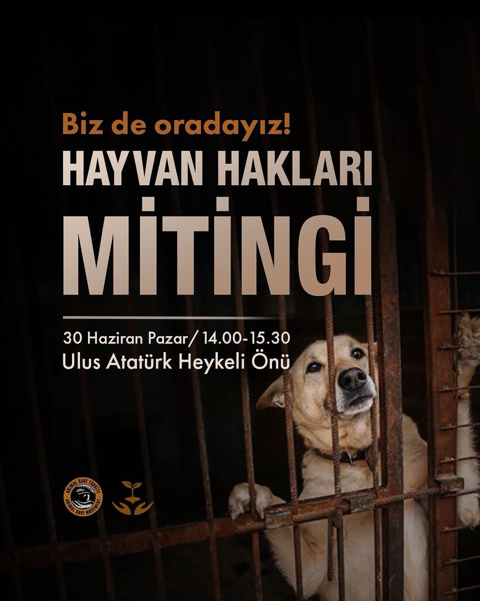 Animal Save Türkiye tweet media