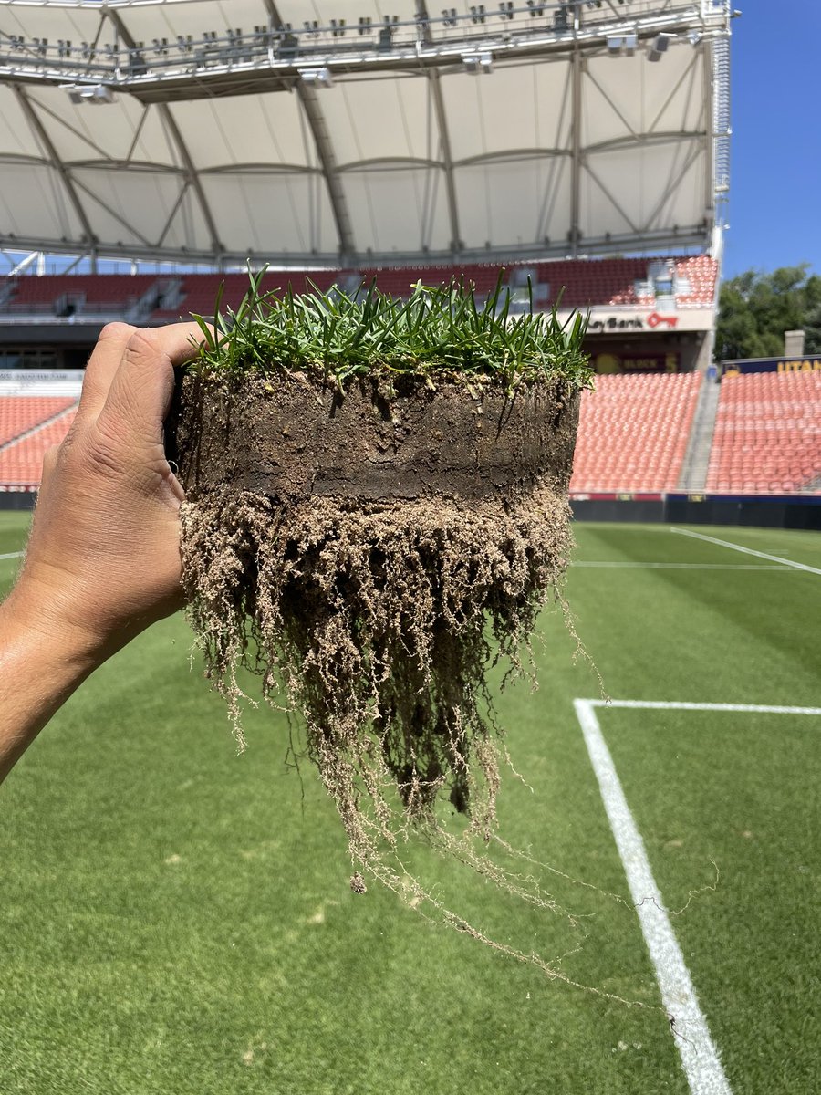 blake benhoff tweet media